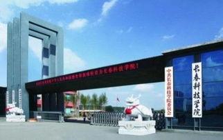 长春科技学院最新爆料